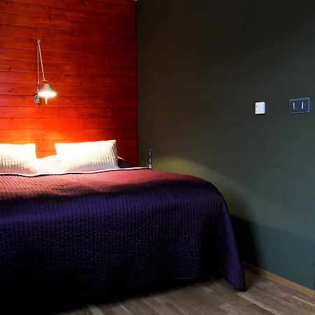 Hotel Kokorin 4* Kokorin