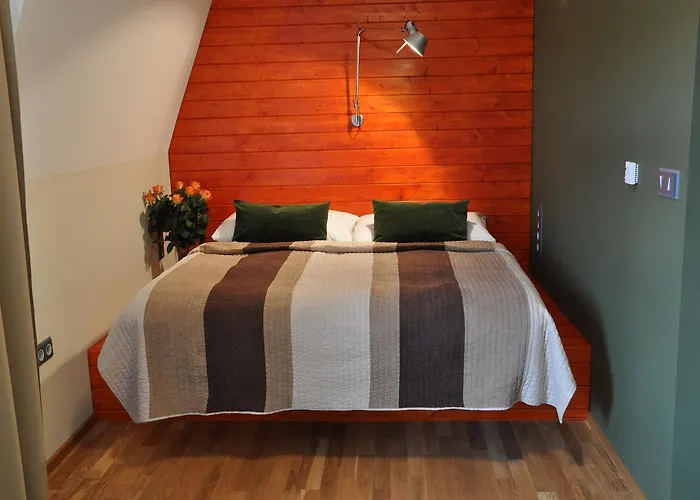 Hotel Kokorin 4* Kokorin