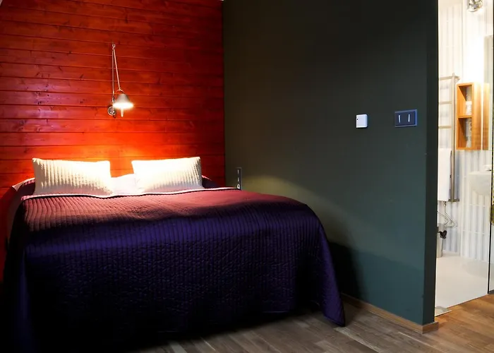 Hotel Kokorin 4* Kokorin